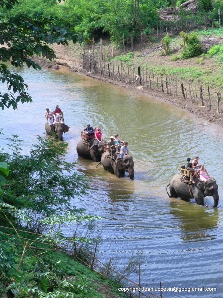 DSCN1381.jpg - Elephant camp Ban XIeng Lom