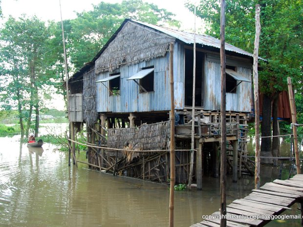 Mekong delta