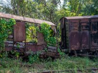 abandonned train relics